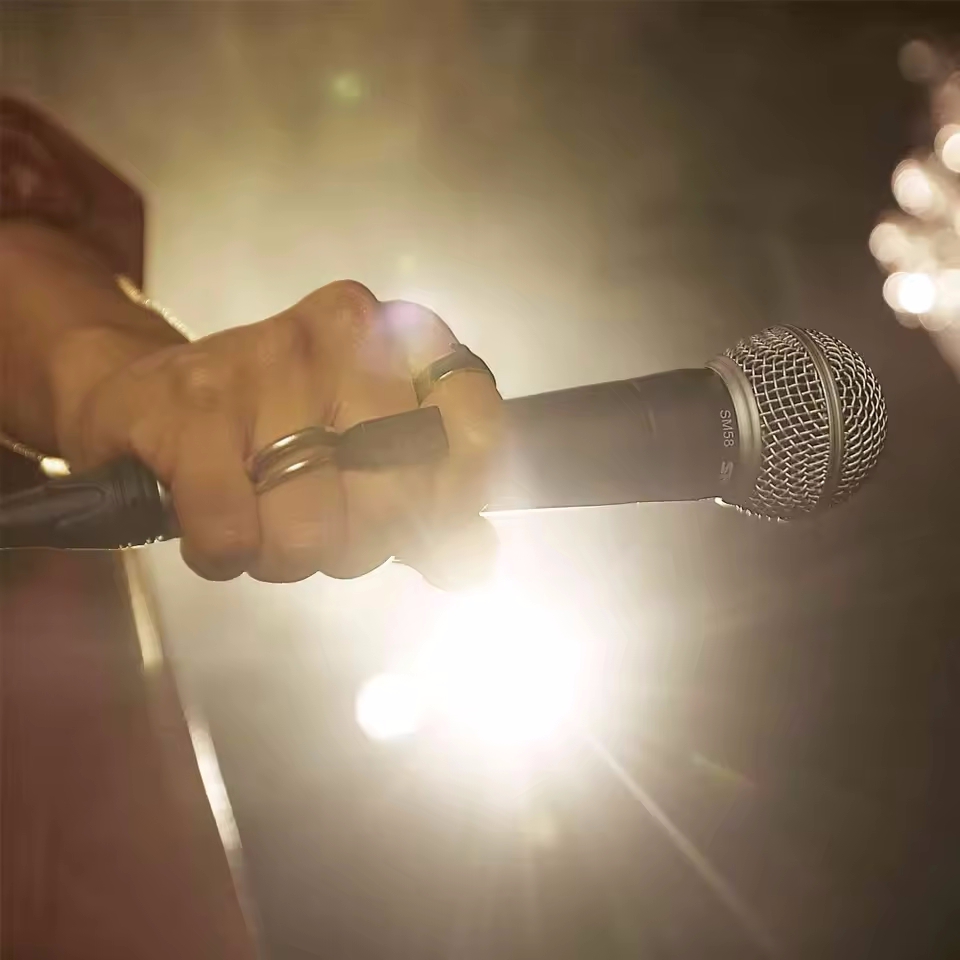 Karaoke Dynamic Microphone Pro - Shure Mic Sm58 recension och pris